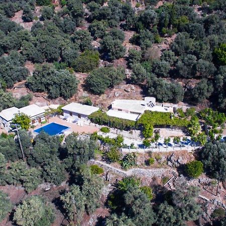 Villa Talos Palaiochora Zewnętrze zdjęcie